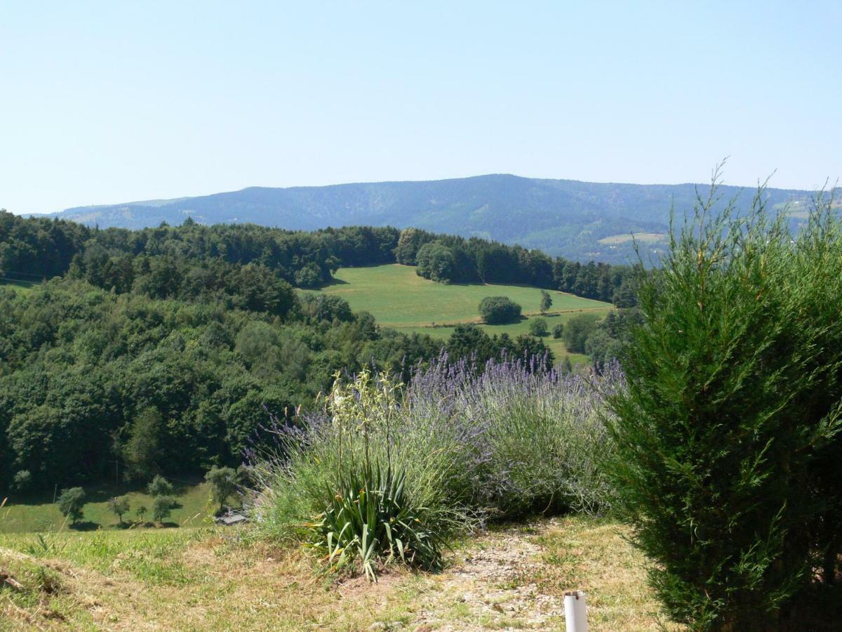 Gite La Sapiniere Labaroche Buitenkant foto